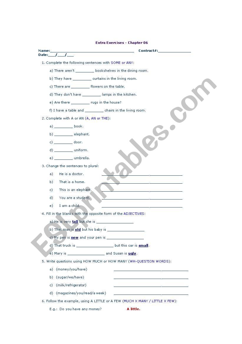 Some, Any, No Adjectives worksheet