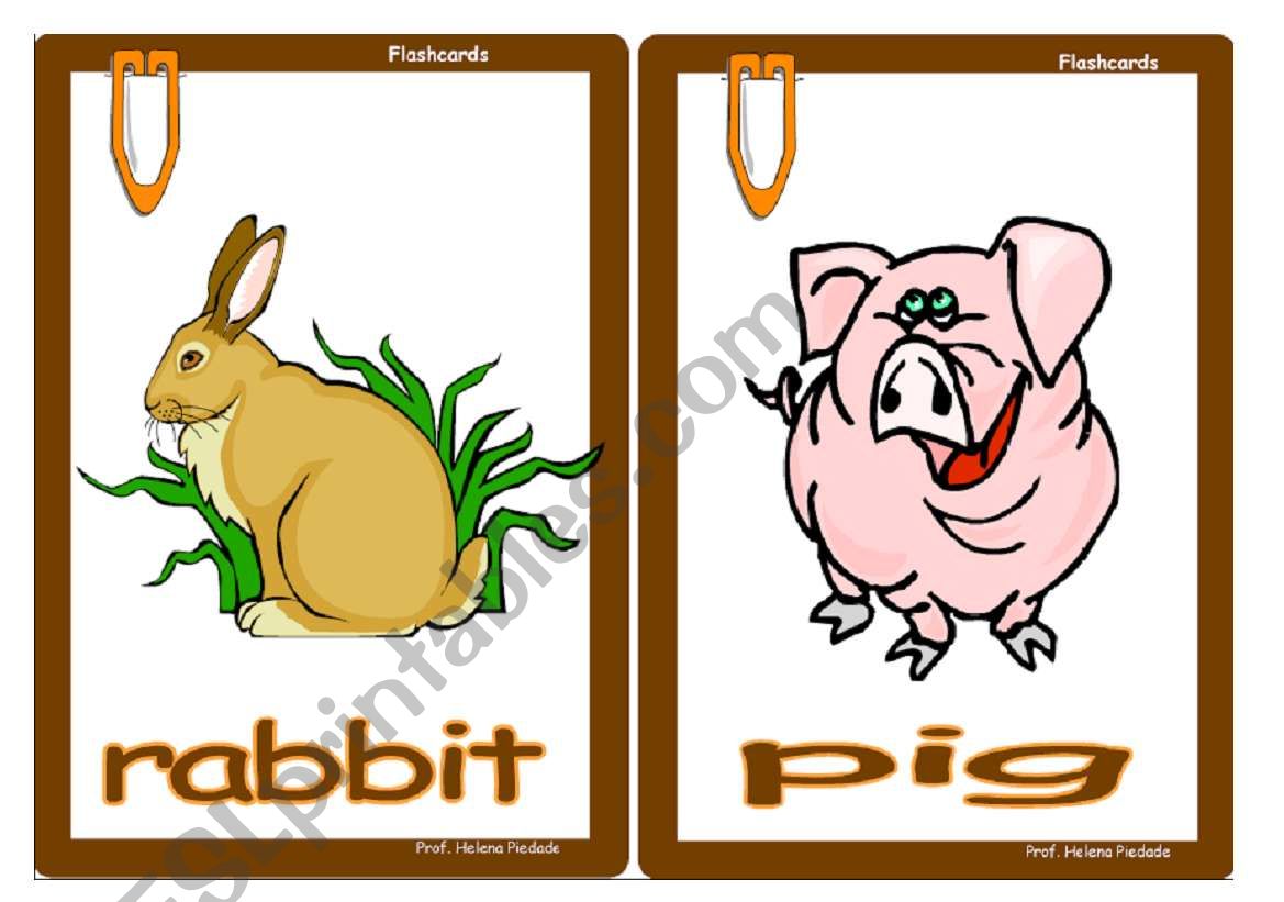 Flashcards Animals worksheet