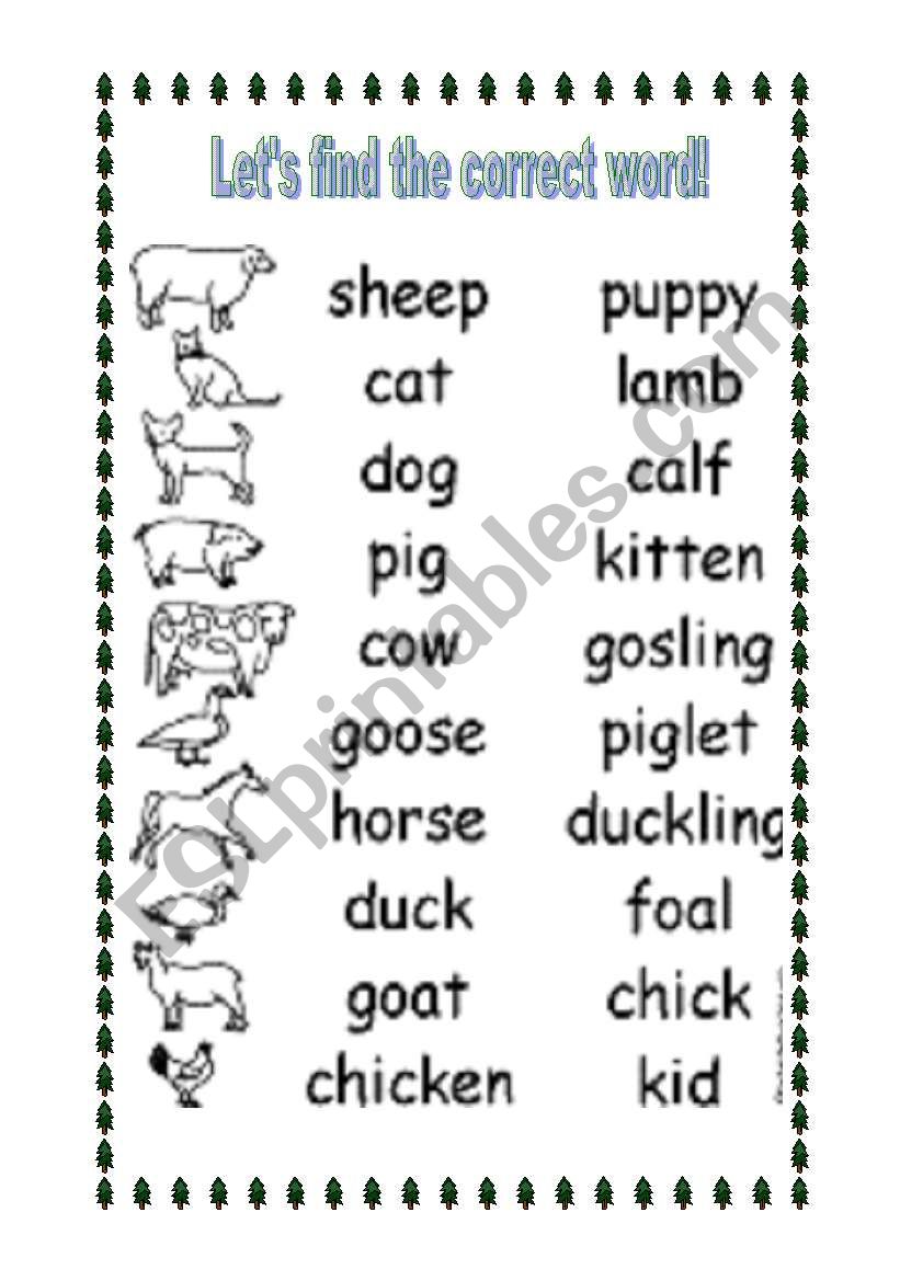 Animals  worksheet