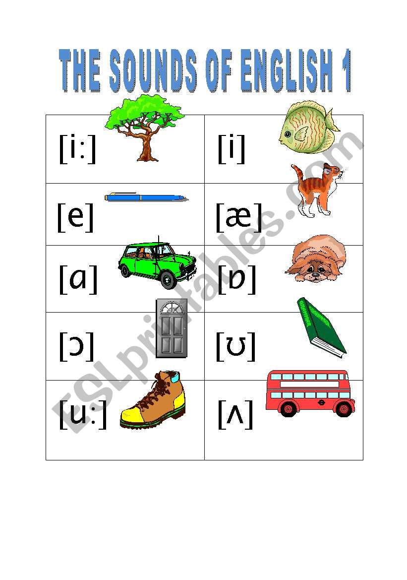 THE SOUNDS OF ENGLISH 1 - ESL worksheet by hedgehog