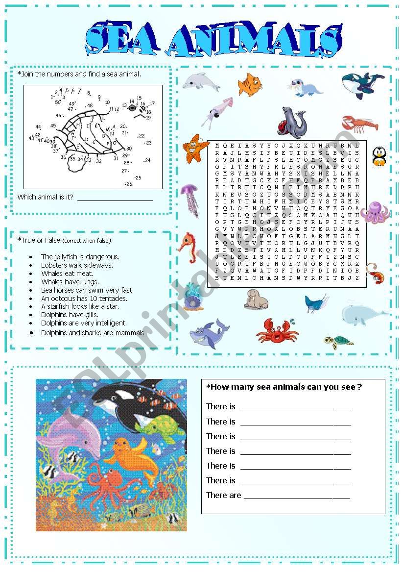 sea animals activities (part3)