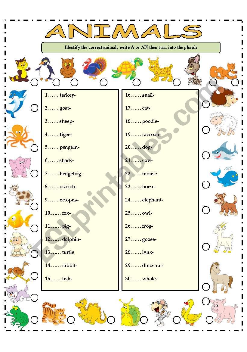 ANIMALS worksheet