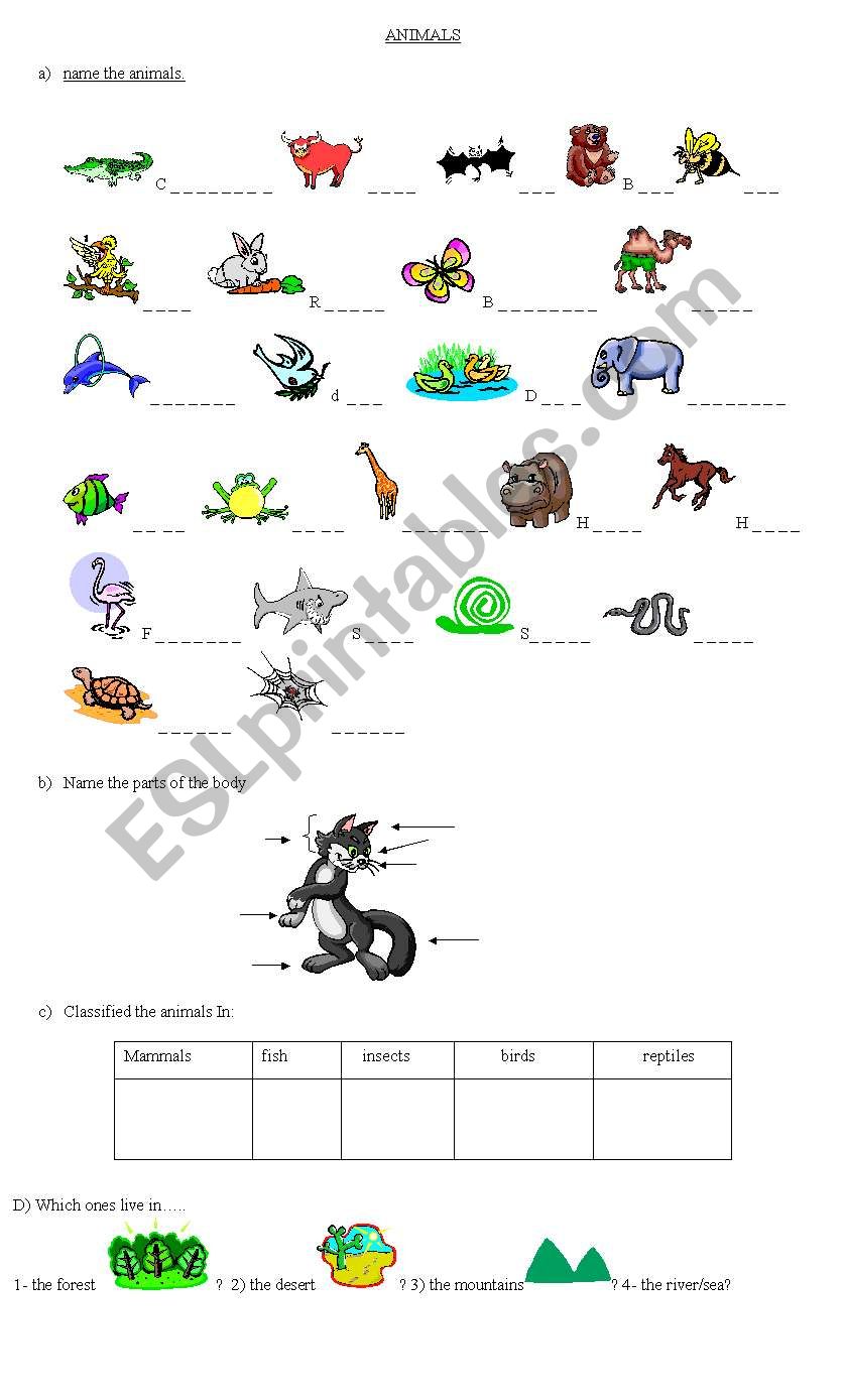 ANIMAL - CLASSIFICATION worksheet