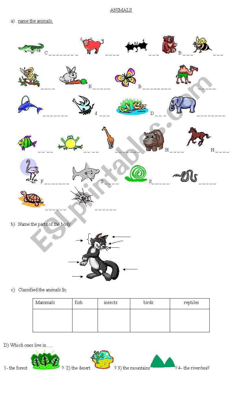 ANIMAL - CLASSIFICATION worksheet