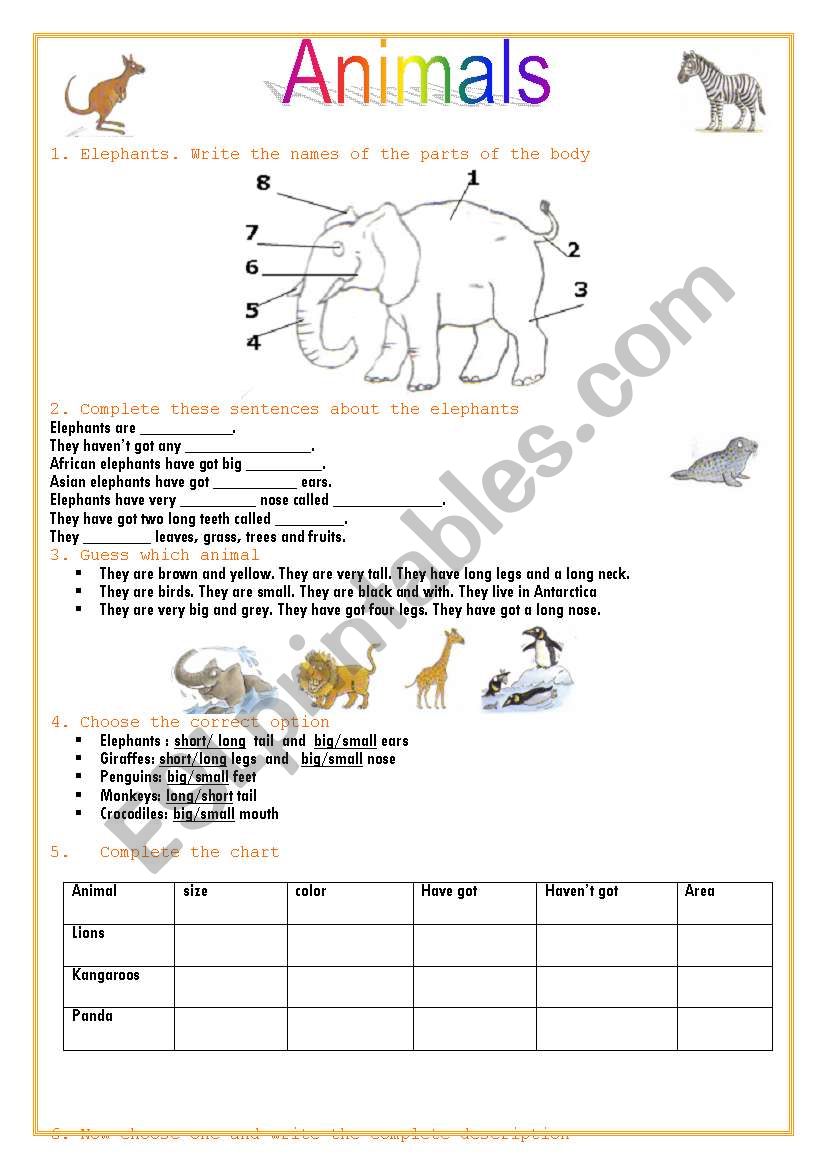 Animals worksheet