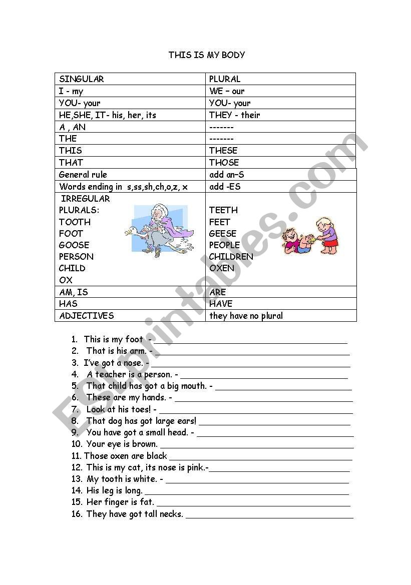 Plurals worksheet