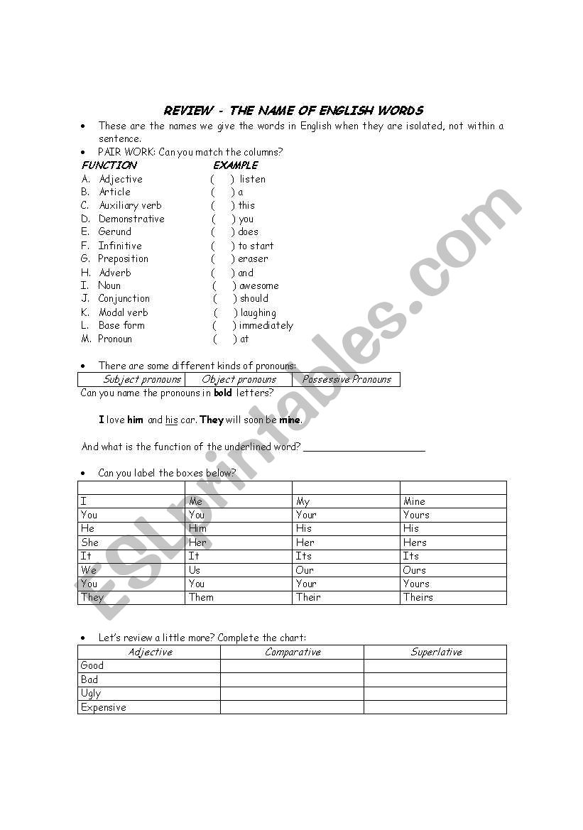General Grammar Review worksheet