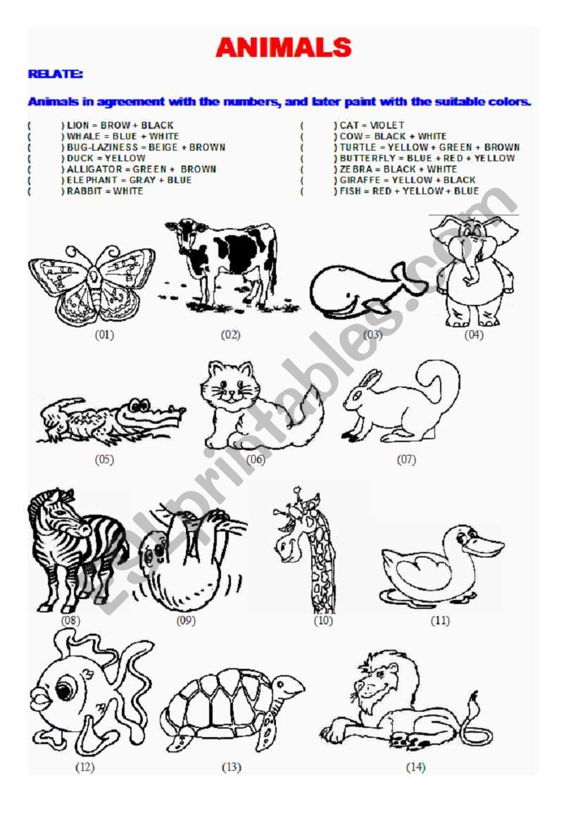ANIMALS - RELATE worksheet
