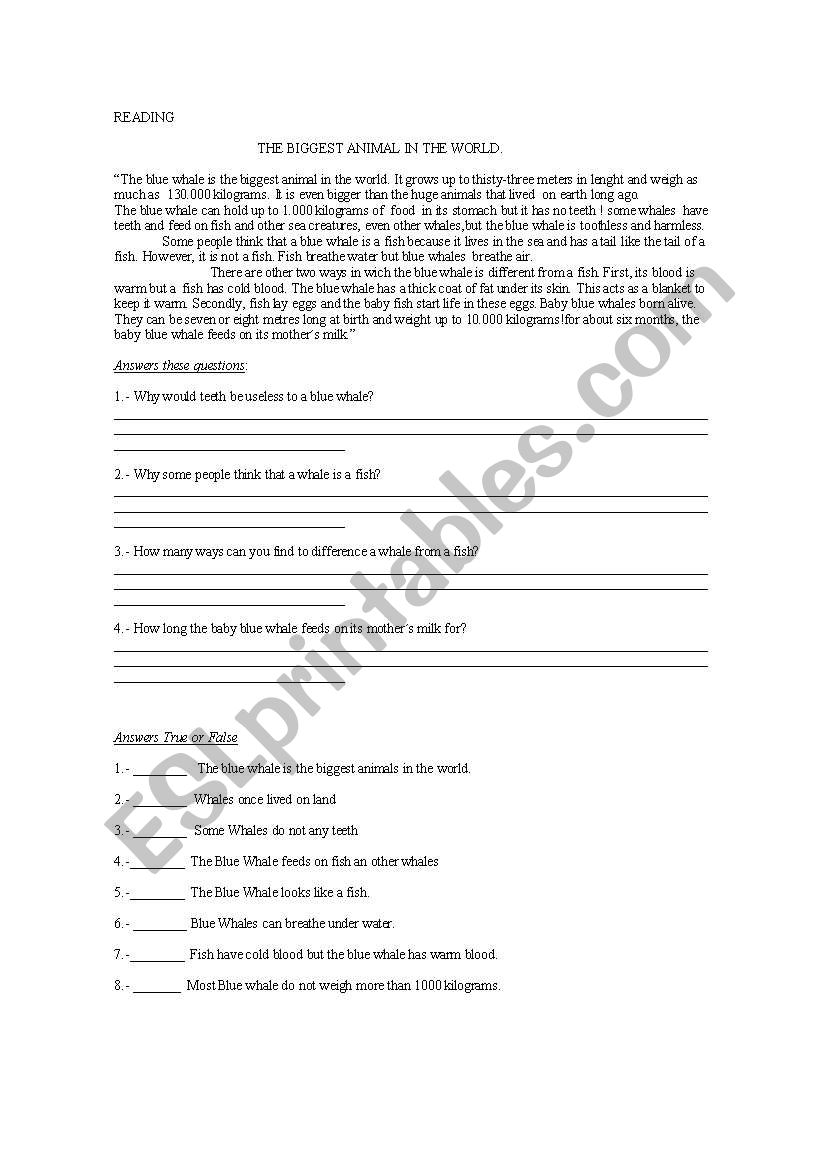 reading  worksheet