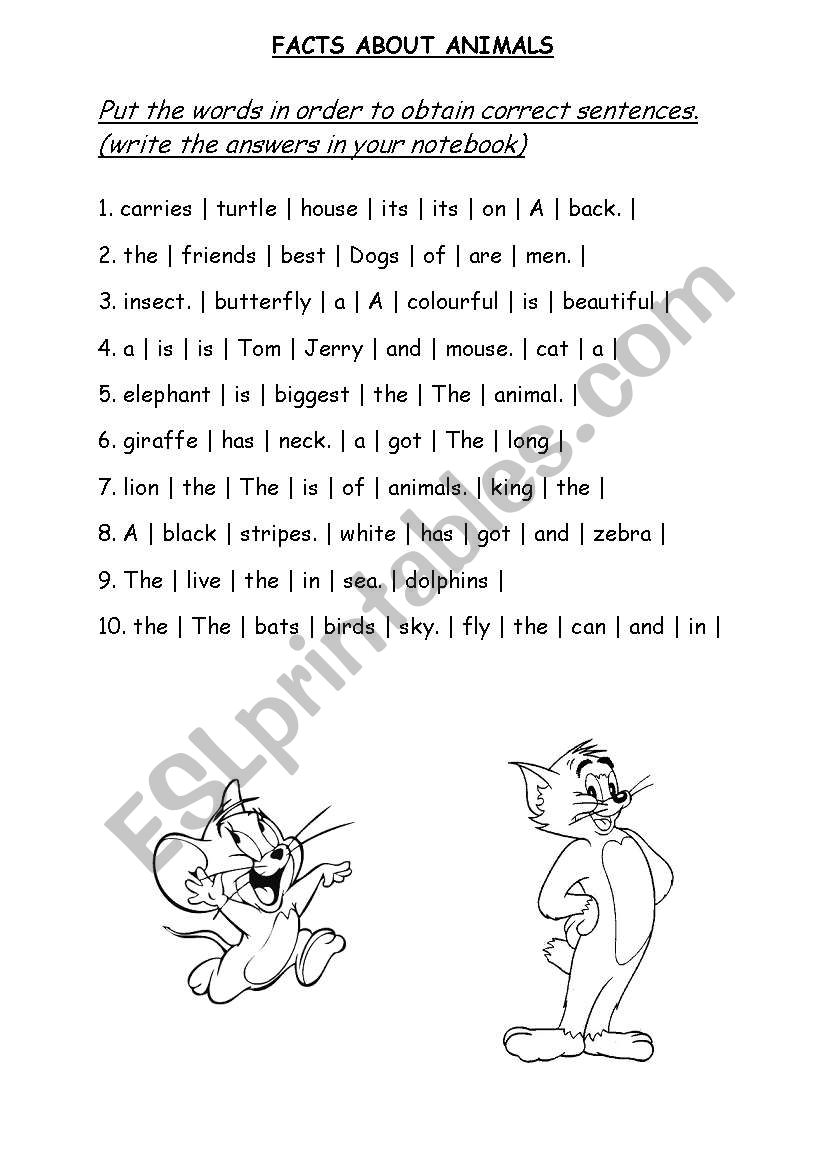 Put the words in order worksheet