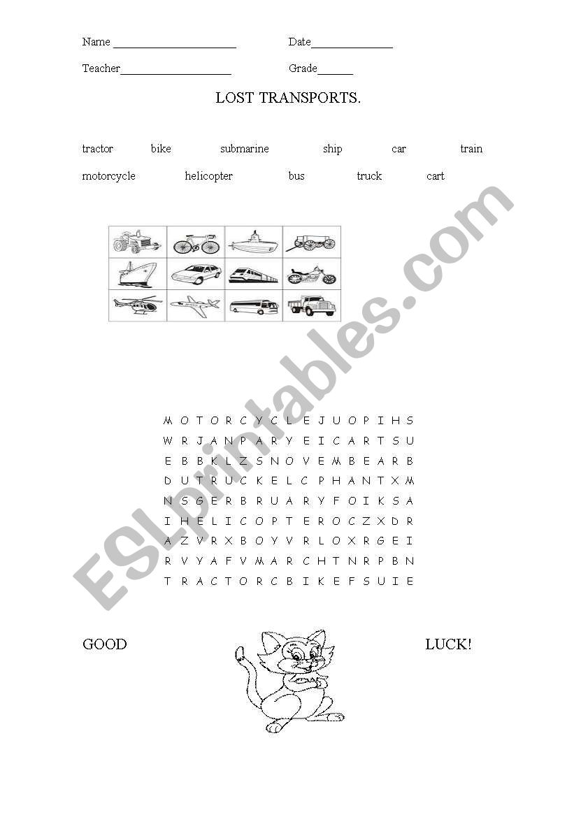 Transports. worksheet