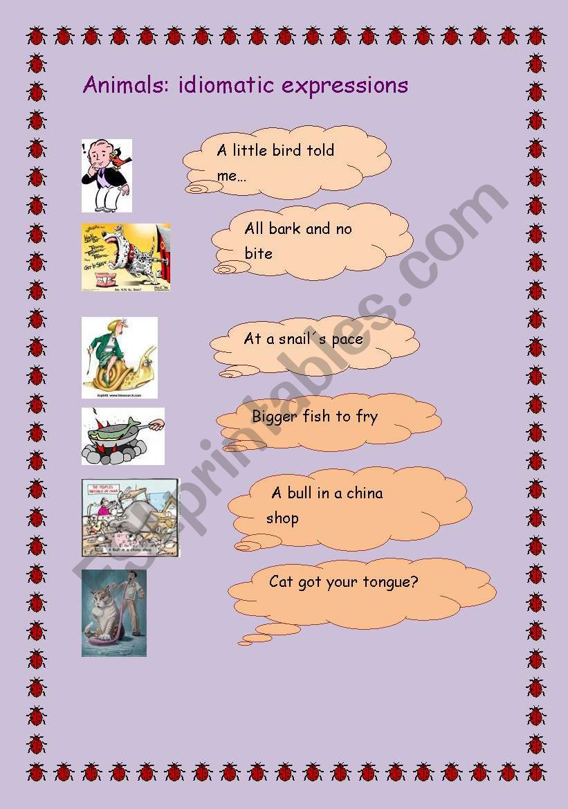 Animals: idiomatic expressions