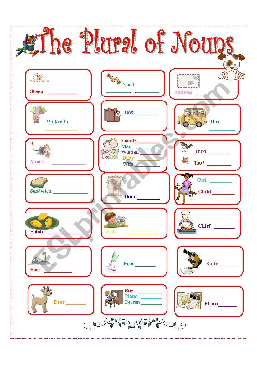 THE PLURAL OF NOUNS 1/4 worksheet