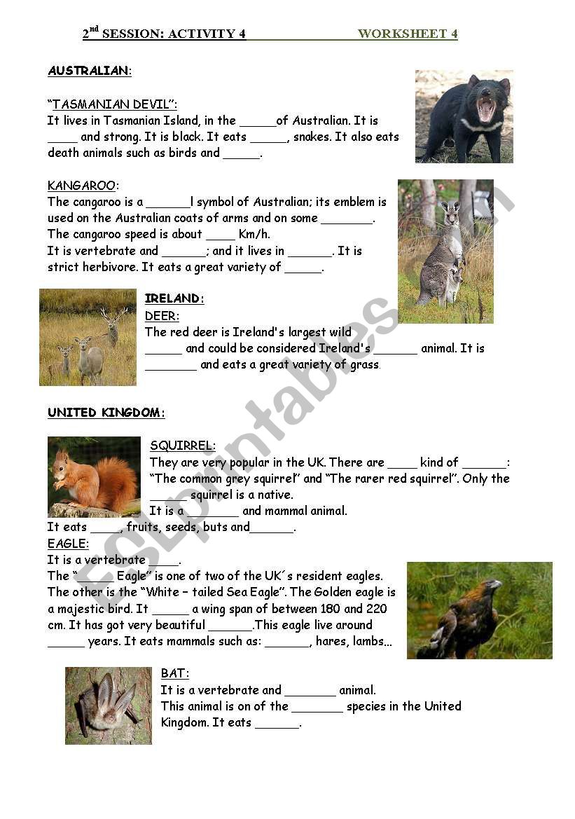 animals description  worksheet