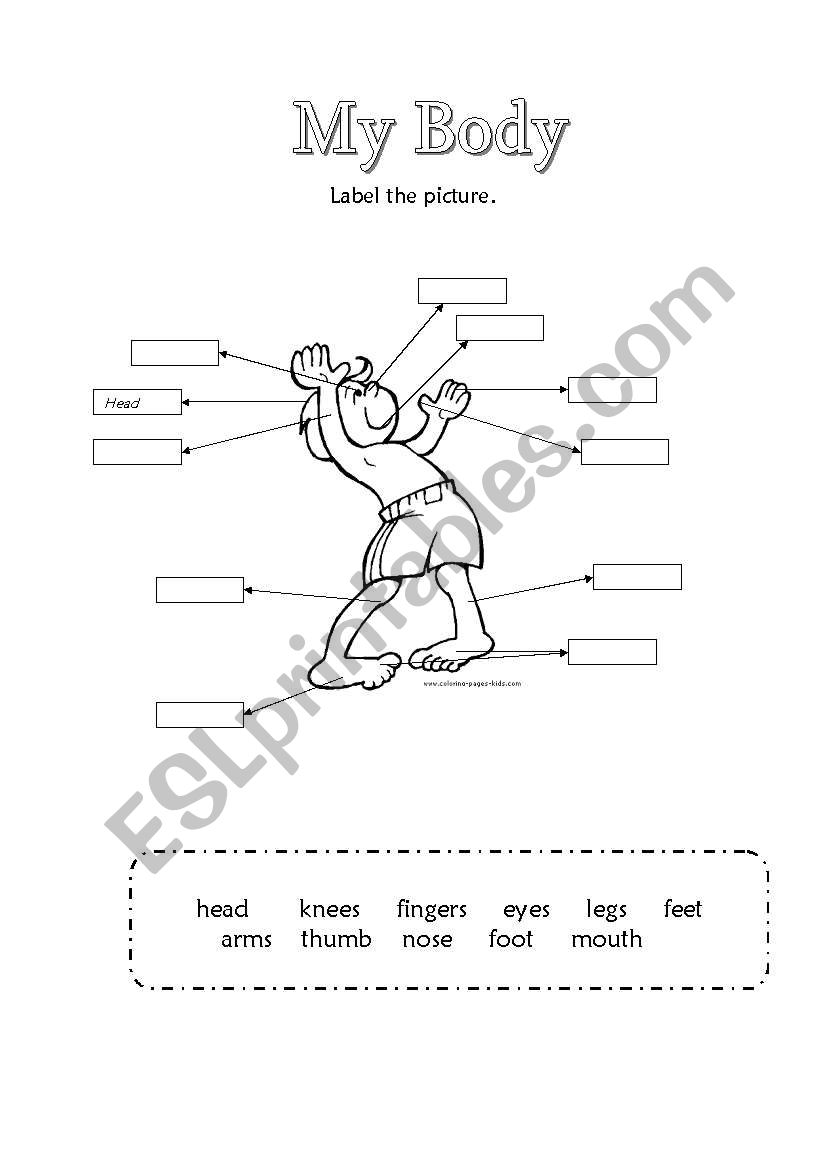 My Body worksheet