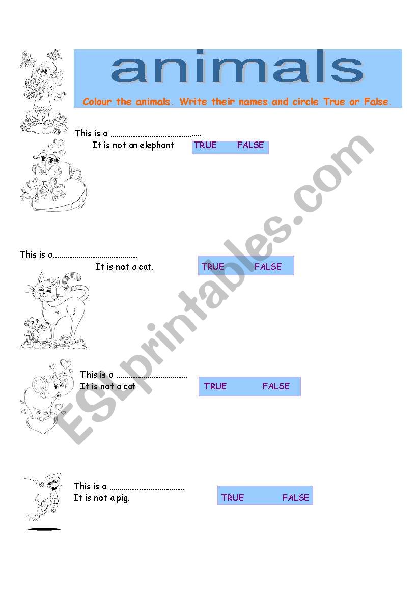 Animals worksheet