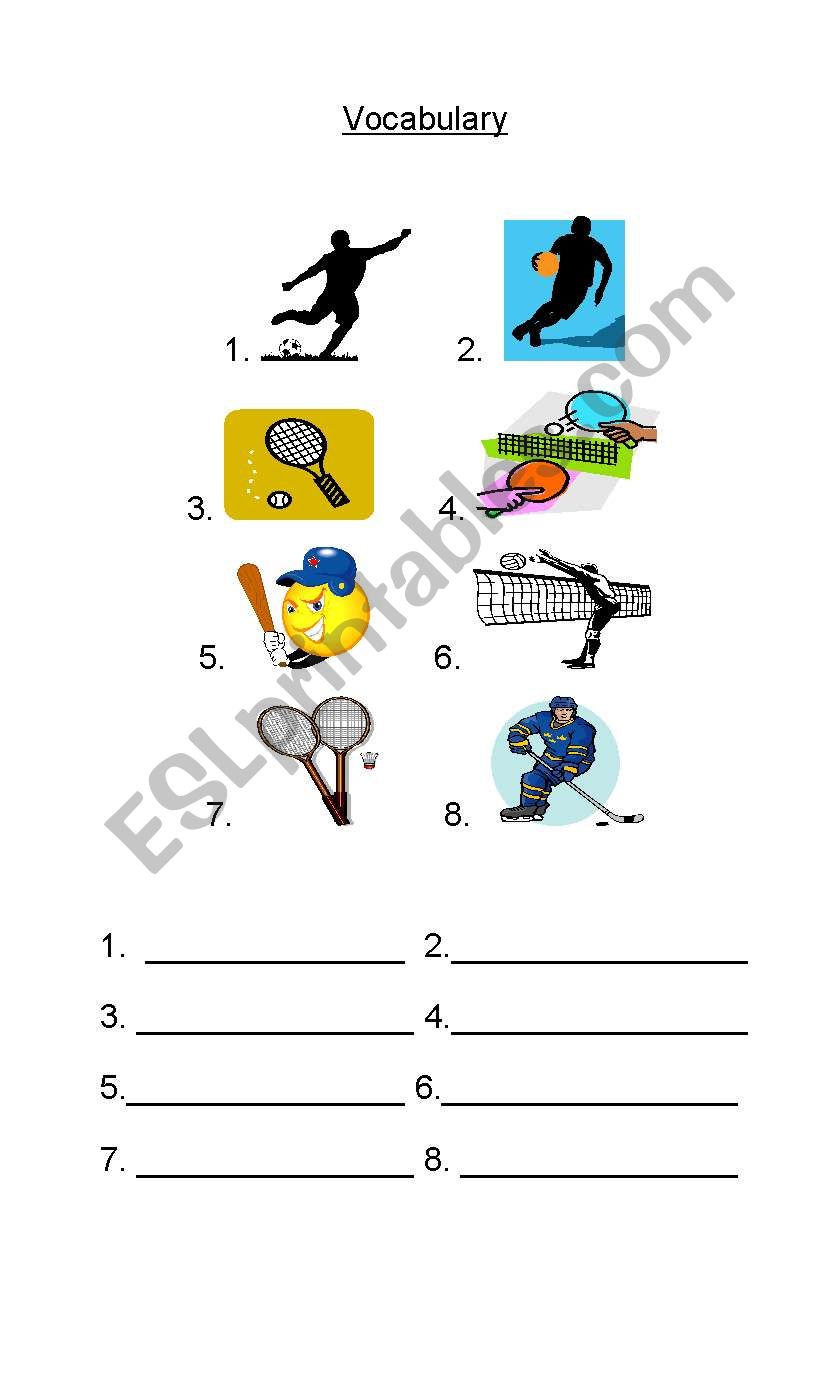 Sports Vocabulary Worksheet worksheet