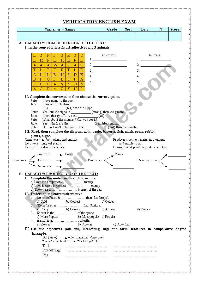 VERIFICATION ENGLISH EXAM  worksheet