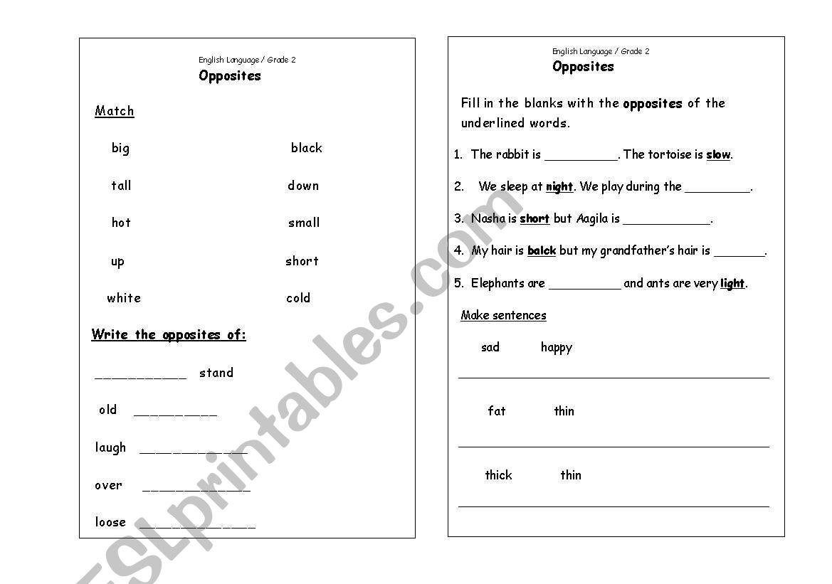 OPPOSITES worksheet