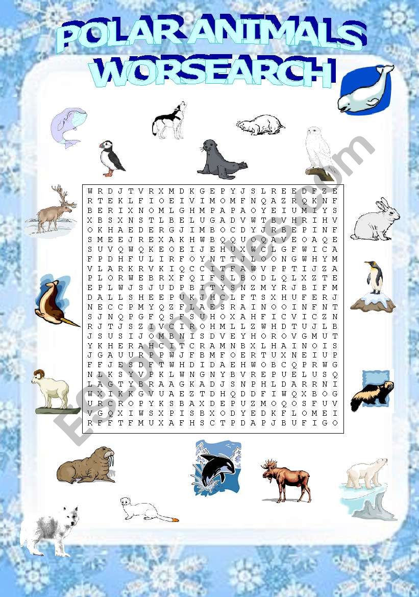 polar animals wordsearch (2/3)