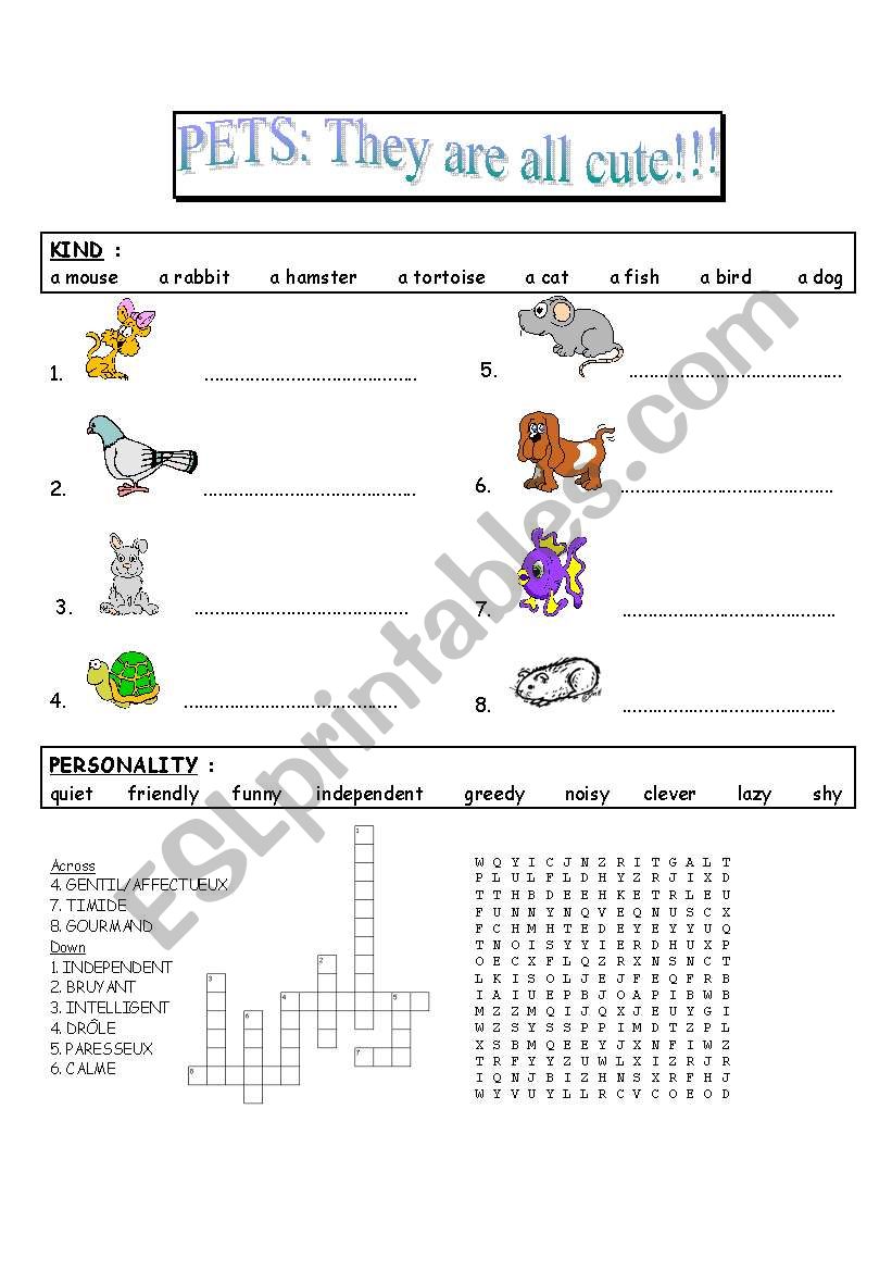Pets : they are all cute ! worksheet