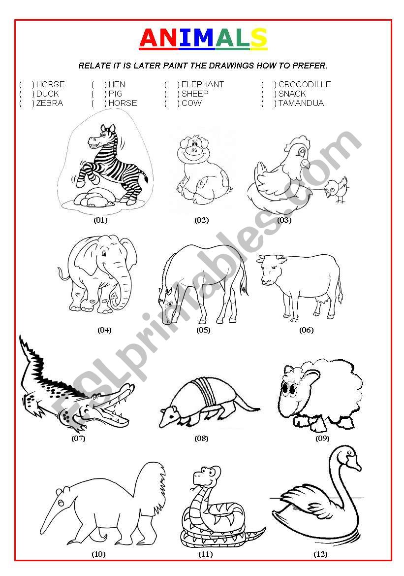 ANIMALS worksheet