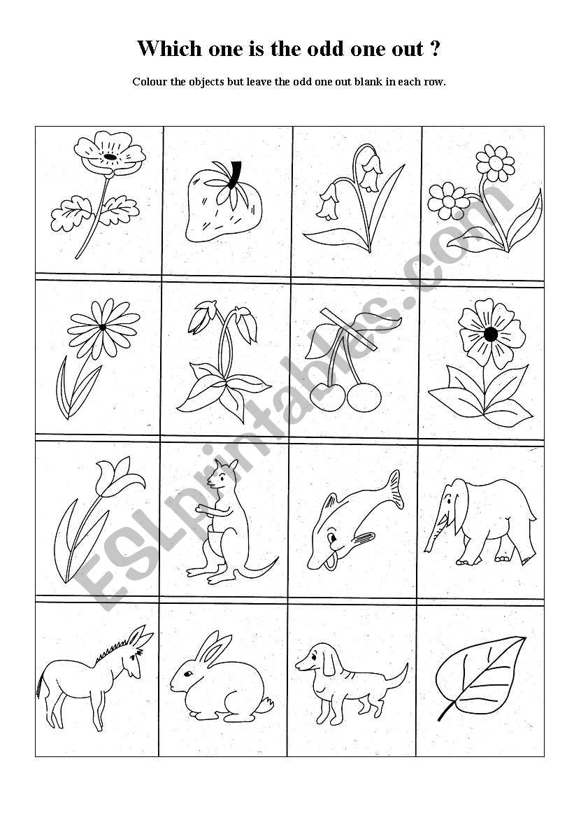 The odd one out worksheet