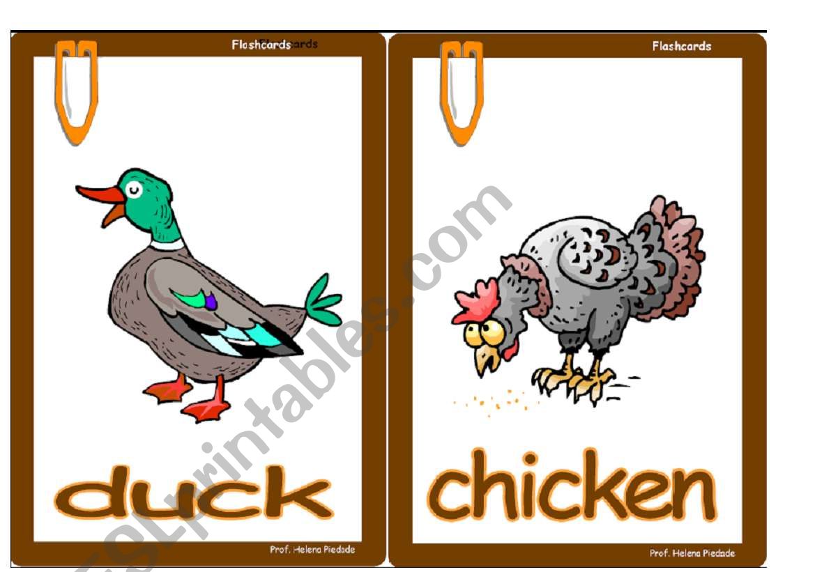 Animals flashcards worksheet