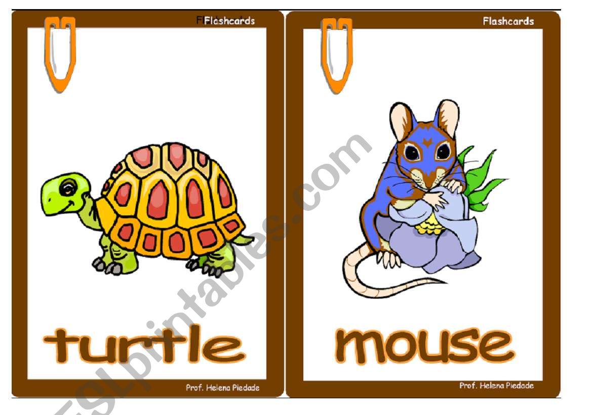 Animals flashcards worksheet