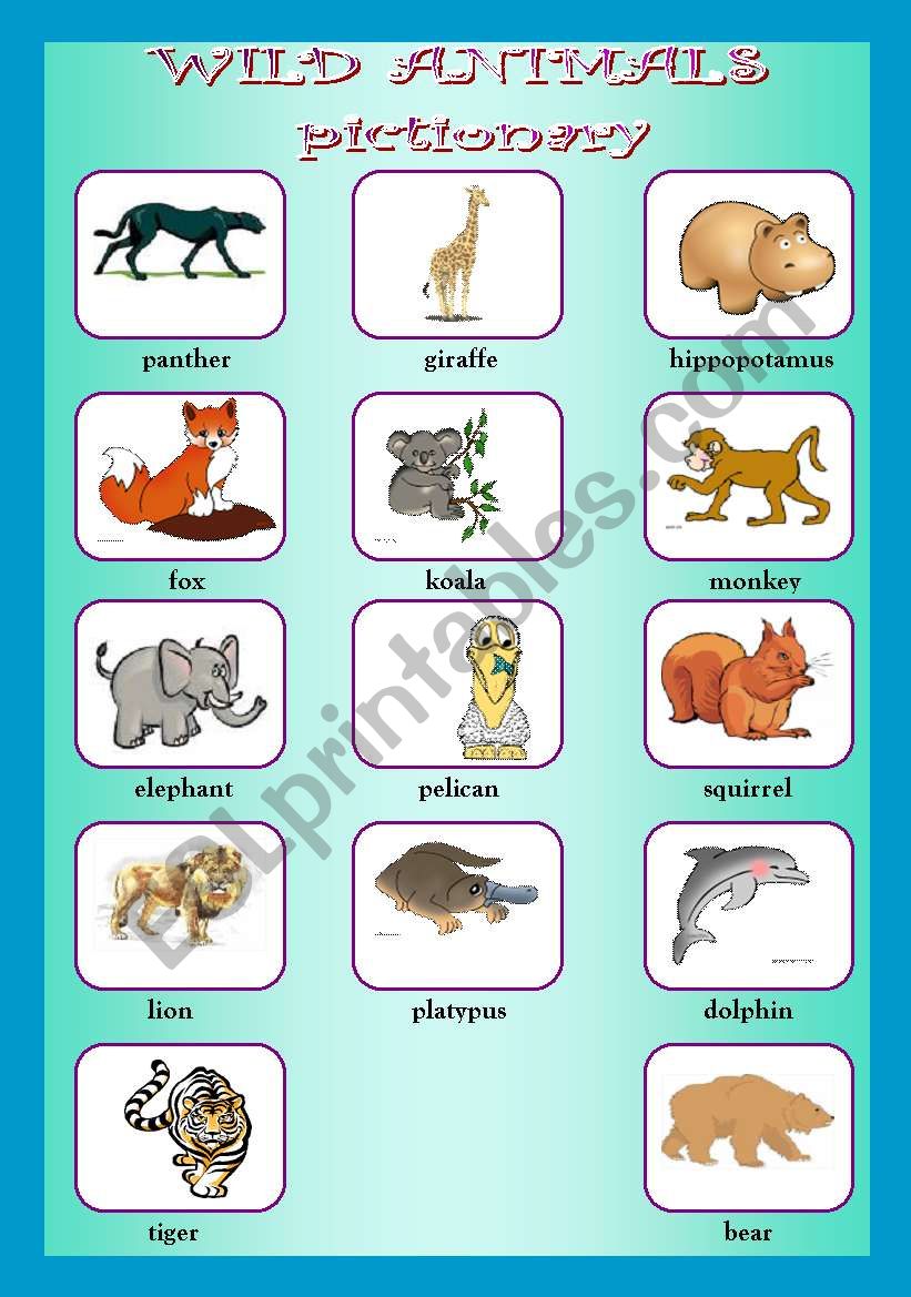 Wild animals pictionary worksheet