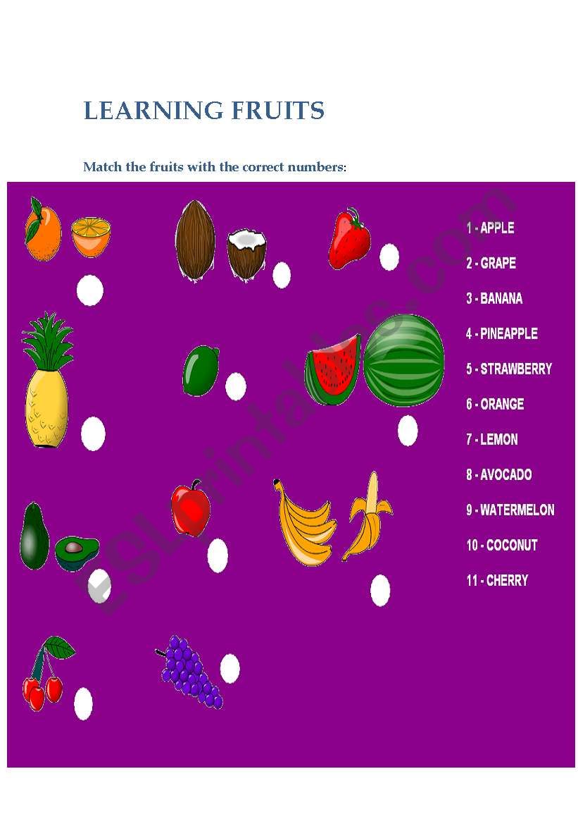 Learning about fruits worksheet