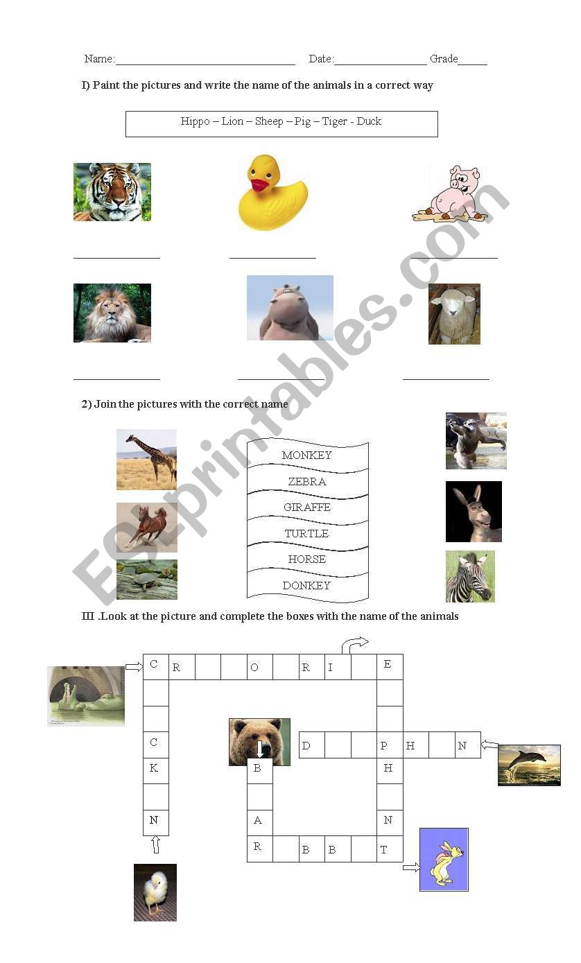 animals worksheet