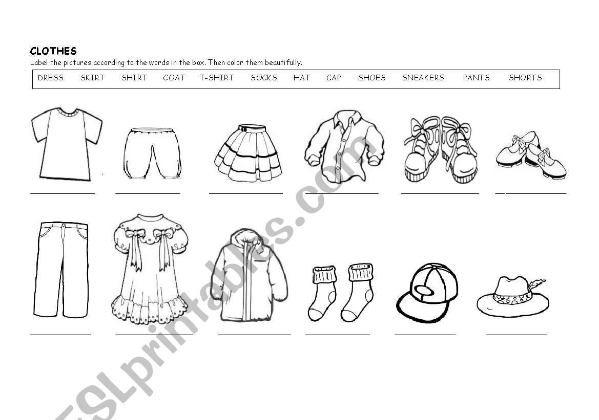 Clothes worksheet