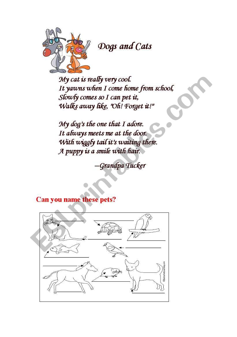 PETS worksheet