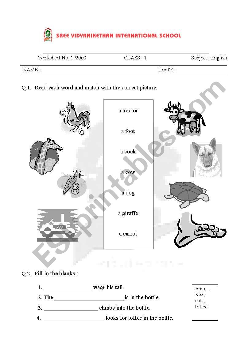 nouns worksheet