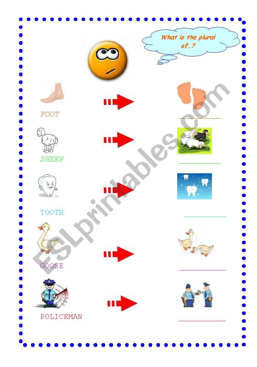 Irregular plurals worksheet