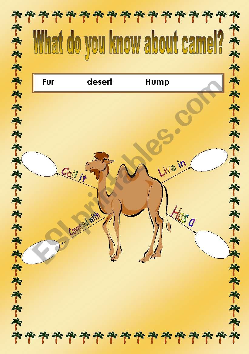camel properties worksheet