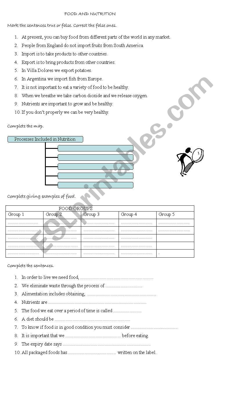 food and nutrition worksheet