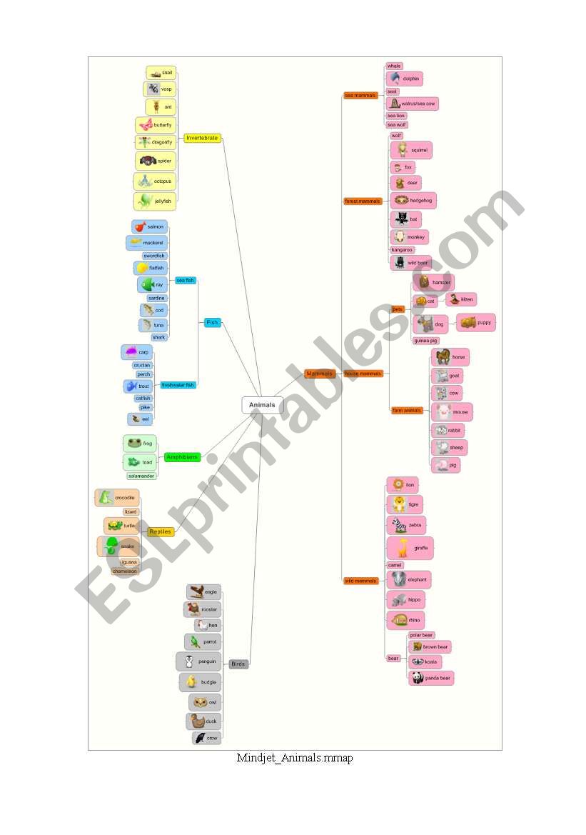 Animals worksheet