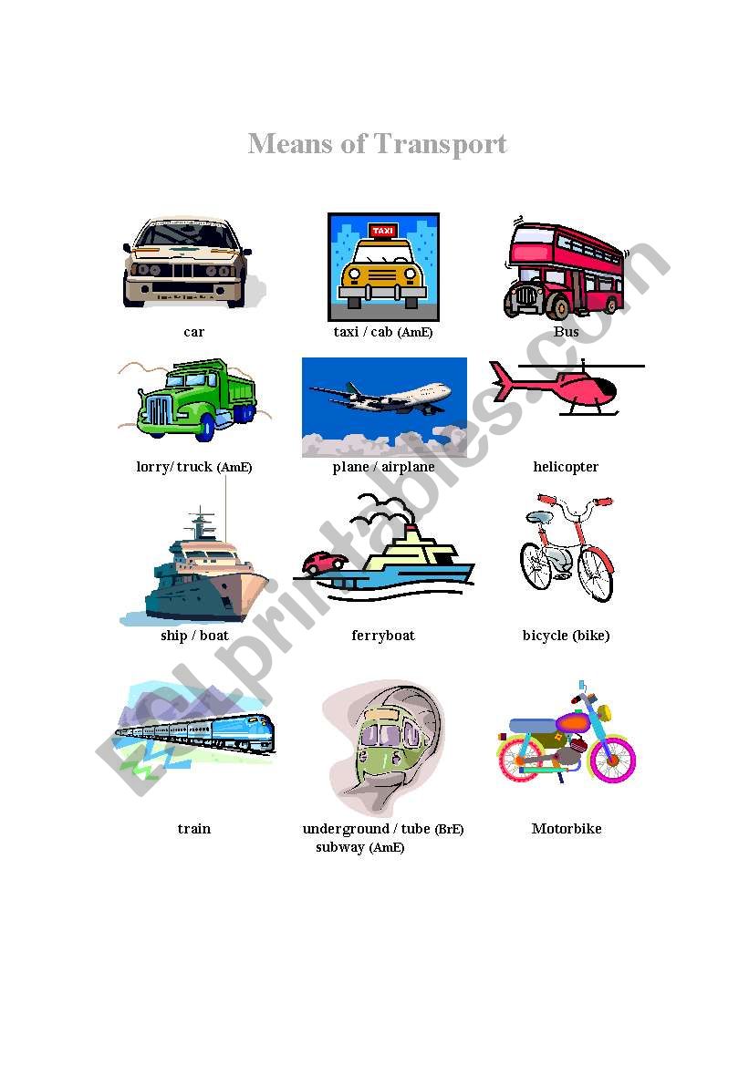 Means of transport worksheet