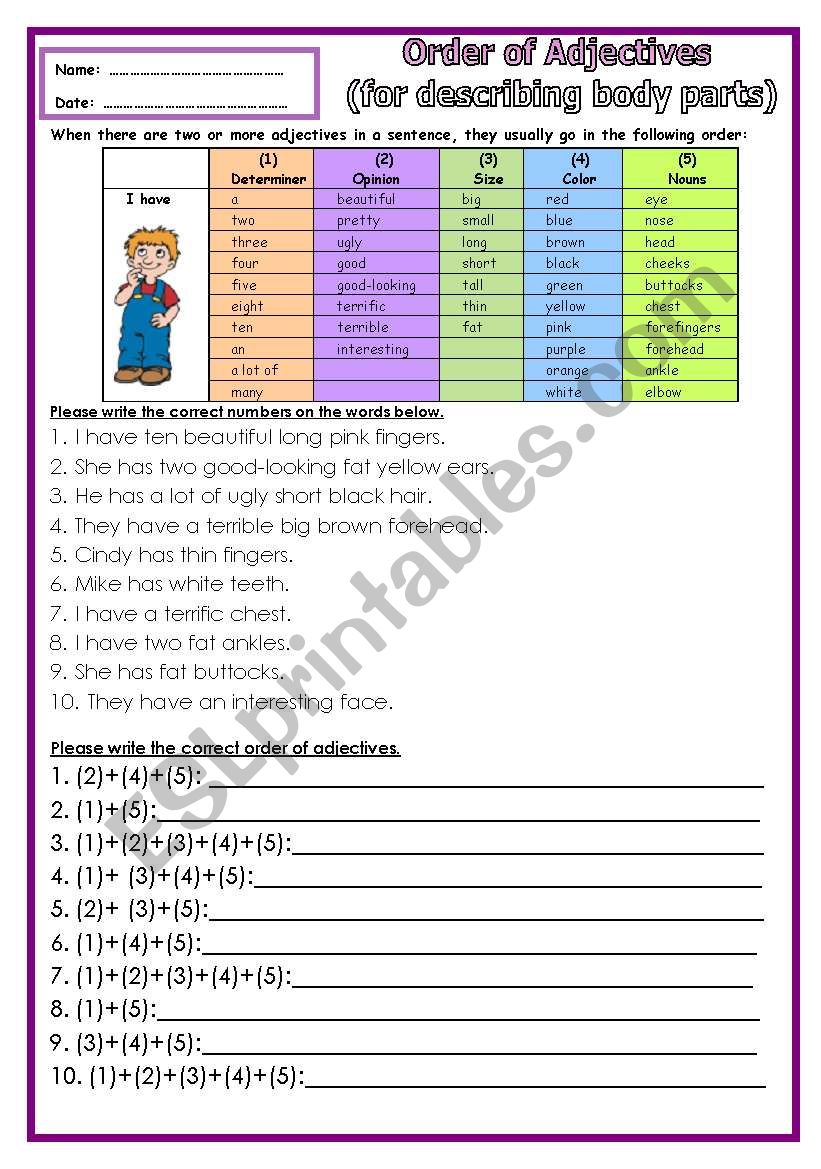 Order of Adj (describing body parts) Part 2 ***