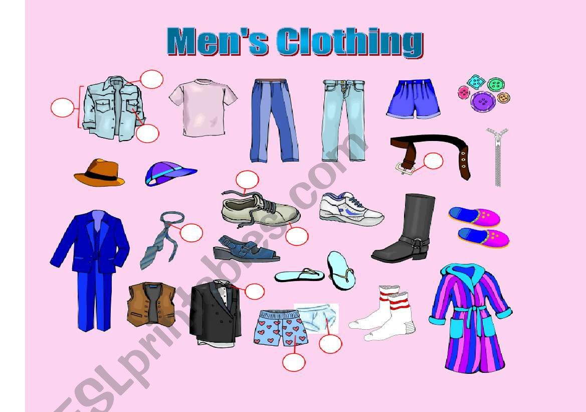 Mens clothes worksheet