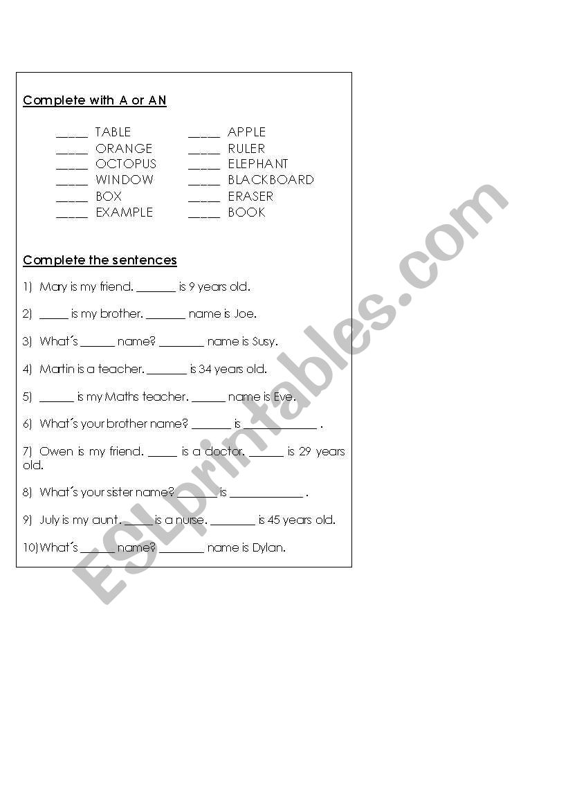 a or an and his/he - her/she worksheet