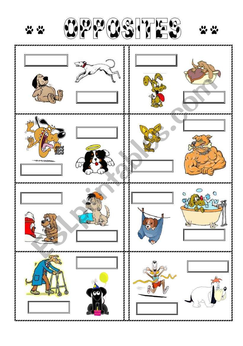 Opposites worksheet