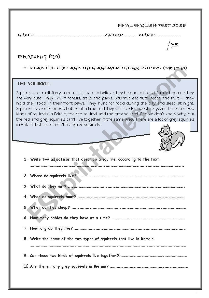 FINAL TEST_1ST YEAR CSE worksheet