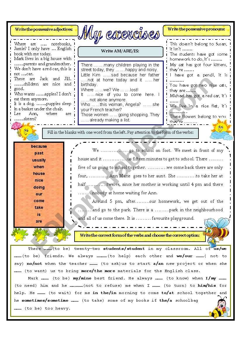 MY EXERCISES worksheet