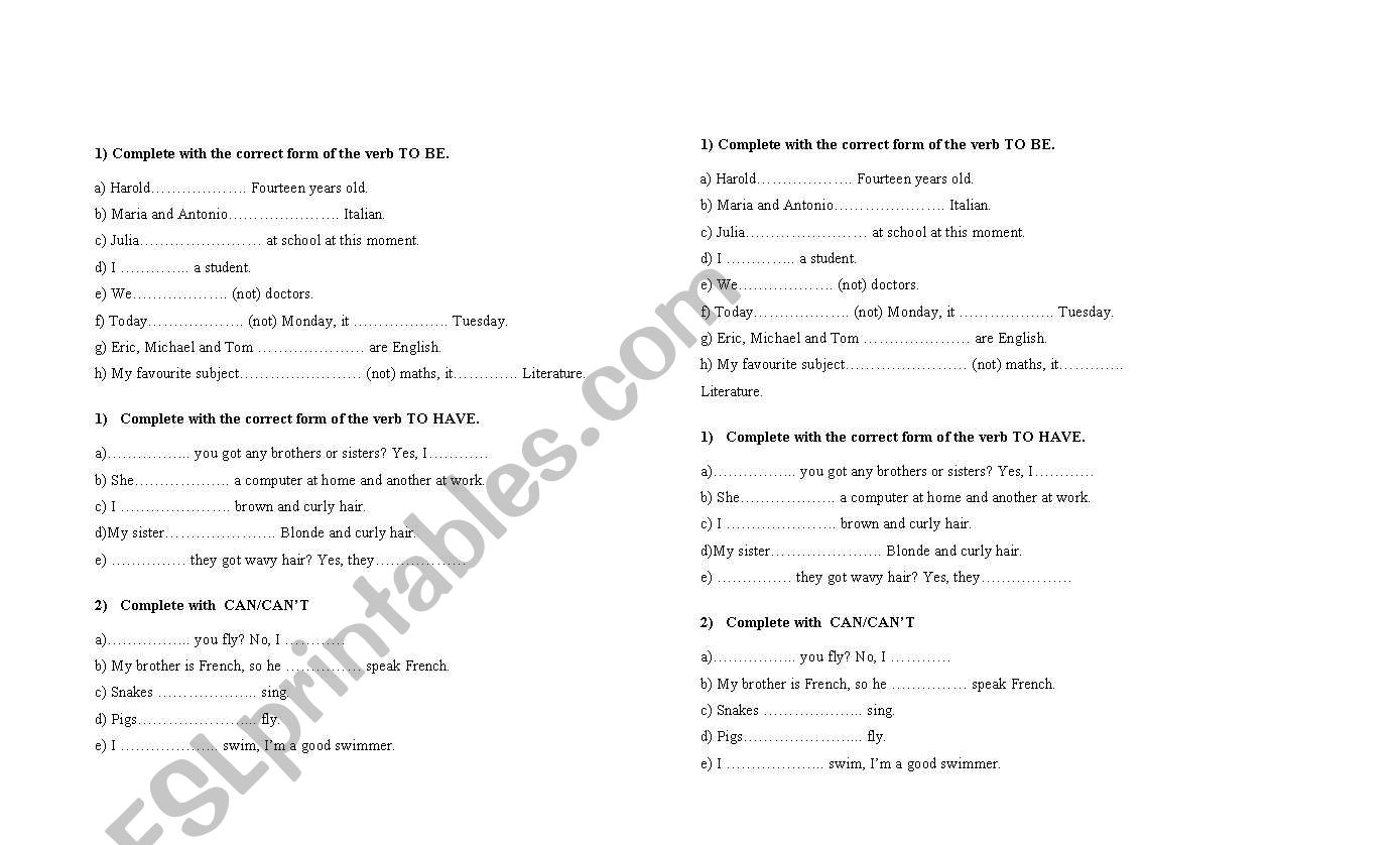 To be/ Can / Have  worksheet