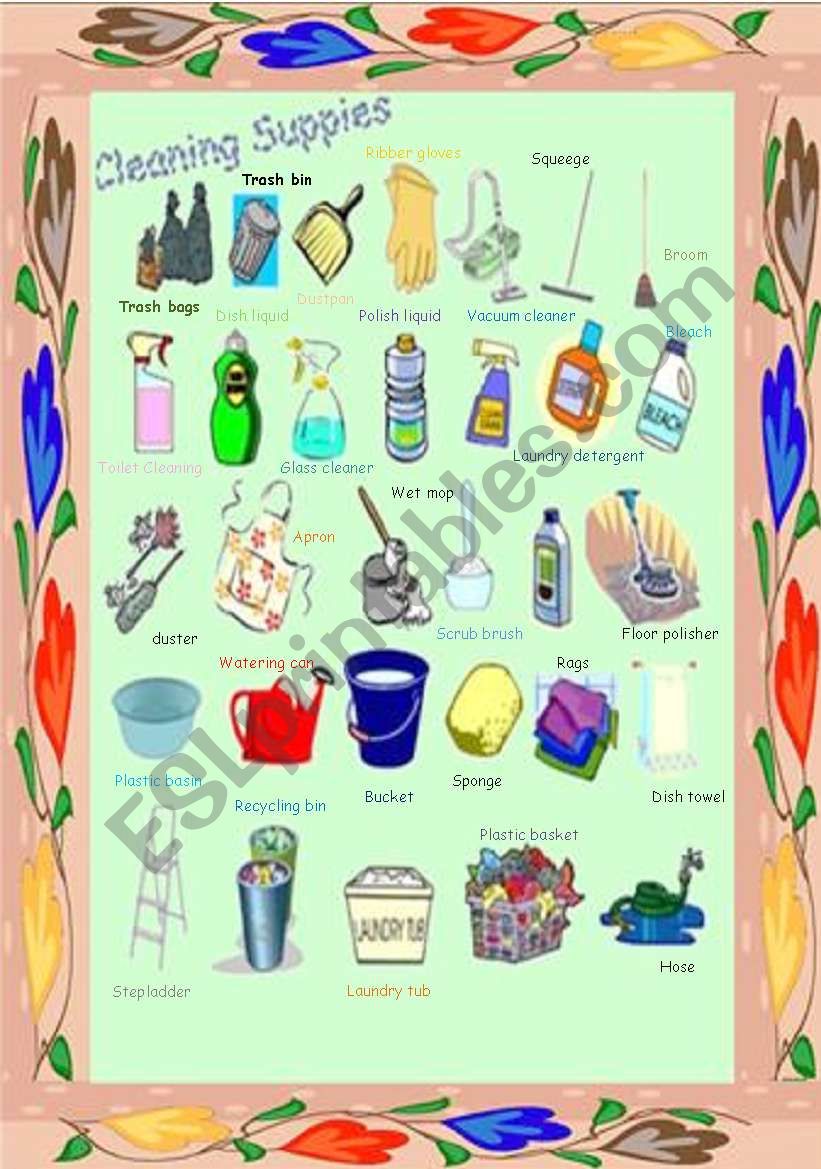 Cleaning Supplies Vocabulary