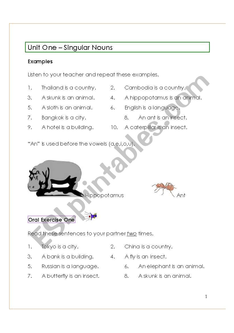 Singular Nouns worksheet