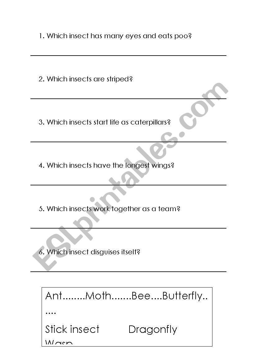 Insect Quiz worksheet